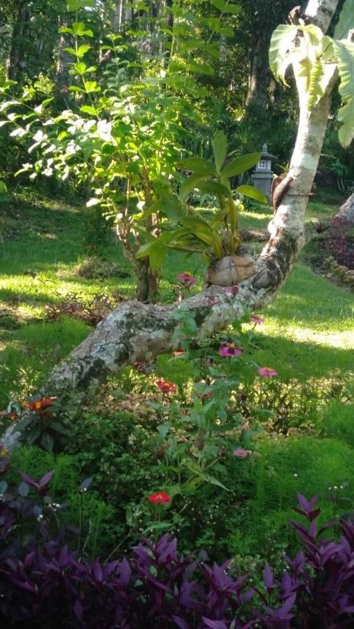 Balian Bliss Retreat Resort - Adults Only Εξωτερικό φωτογραφία