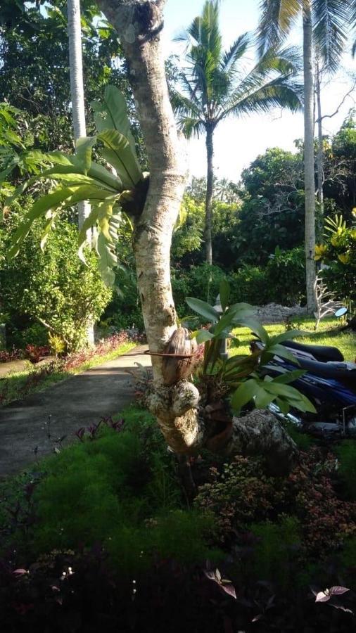 Balian Bliss Retreat Resort - Adults Only Εξωτερικό φωτογραφία